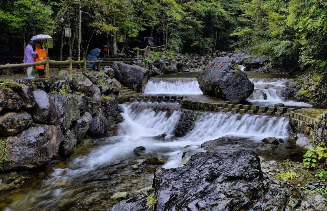2024春节山东乡村文化旅游节丨菏泽市举行“舞动千万家”·“扭起秧歌过大年”传统秧歌研讨会