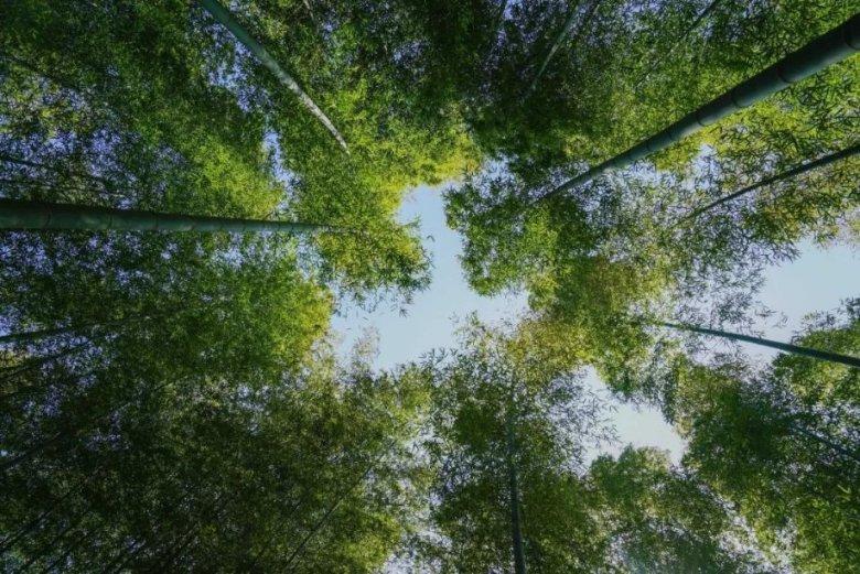 微信头像后面的视频怎么设置问答社区-专注解决问题,为你提供最佳答案