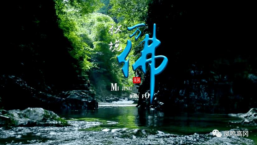 植物大战僵尸16