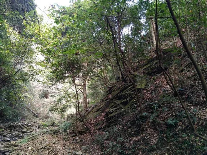 逃离城郊古宅