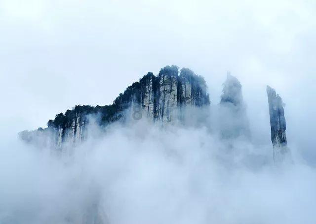 救援贪玩的大象