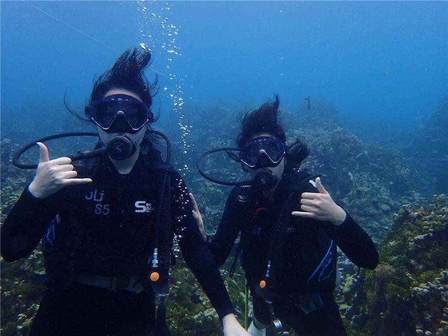 海盗的寻宝之旅