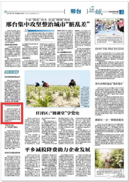 专注交流,宁波植物园镇海人免费吗问答平台