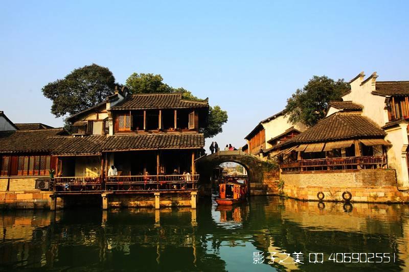 除虫大师