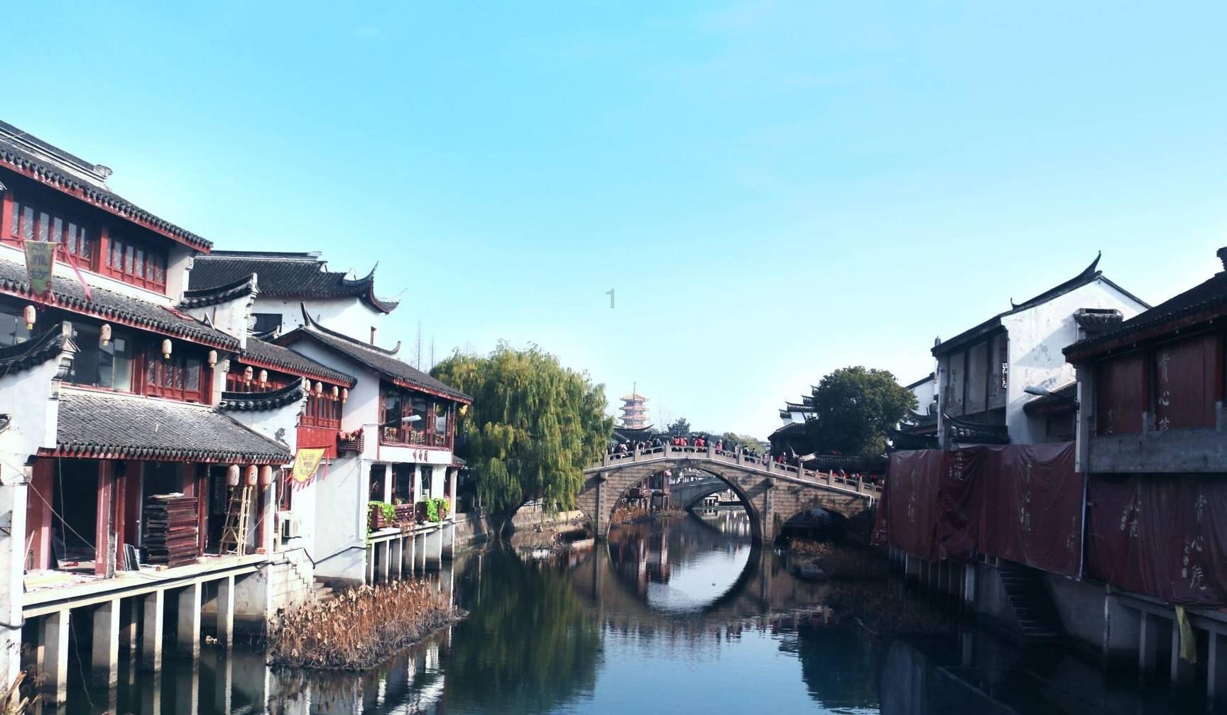 动物帮帮忙保卫家园