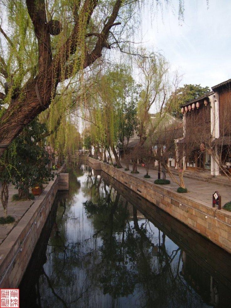 感冒吃错药住进ICU!紧急提醒:阿莫西林不是消炎药!